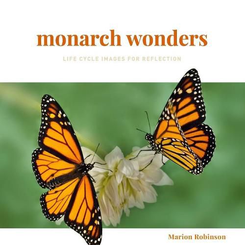 Cover image for Monarch Wonders: Life Cycle Images for Reflection