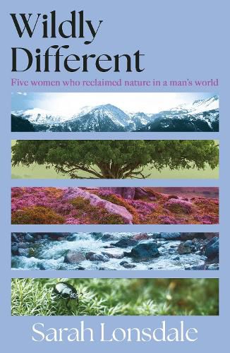 Cover image for Wildly different