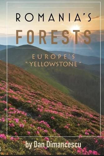 Cover image for Romania's Forests