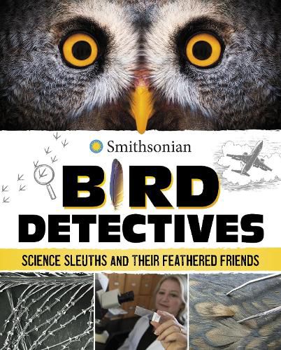 Cover image for Bird Detectives