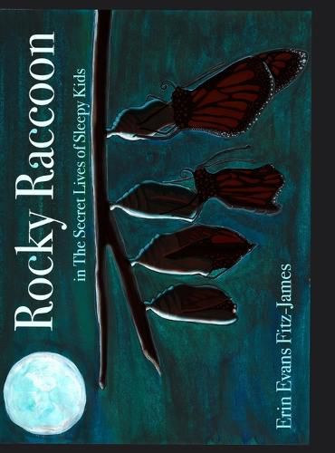 Cover image for Rocky Raccoon