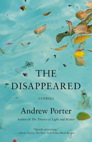 Cover image for The Disappeared