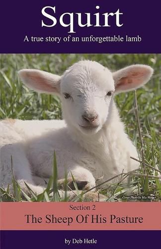 Cover image for Squirt