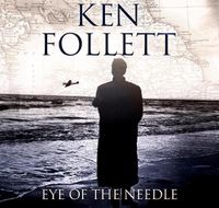 Cover image for Eye Of The Needle