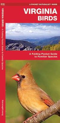 Cover image for Virginia Birds: A Folding Pocket Guide to Familiar Species