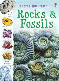 Cover image for Rocks and Fossils