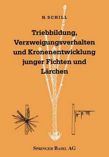 Cover image for Triebbildung, Verzweigungsverhalten Und Kronenentwicklung Junger Fichten Und Larchen