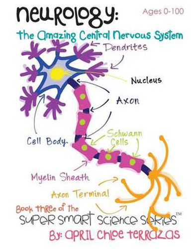 Cover image for Neurology: The Amazing Central Nervous System