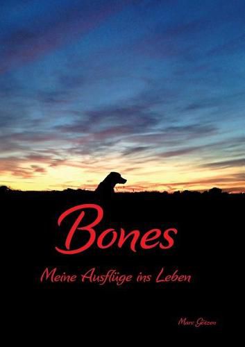 Cover image for Bones