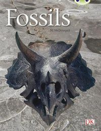 Cover image for Bug Club Guided Non Fiction Year Two Gold A Fossils