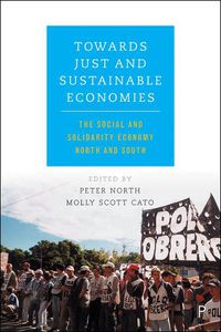 Cover image for Towards Just and Sustainable Economies: The Social and Solidarity Economy North and South