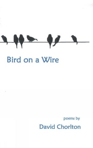 Bird on a Wire