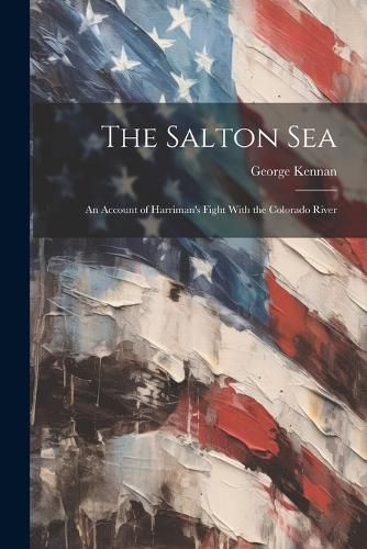 Cover image for The Salton Sea [electronic Resource]