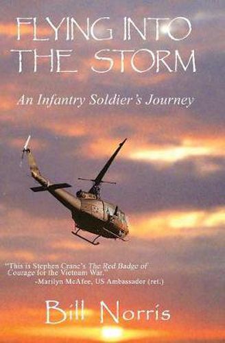 Cover image for Flying Into The Storm