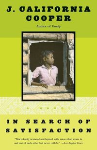 Cover image for In Search of Satisfaction