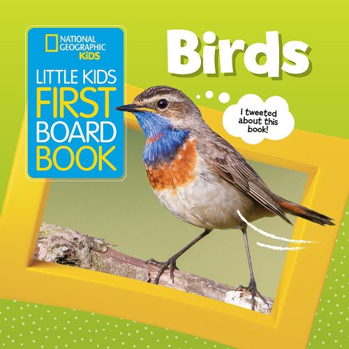 Cover image for Little Kids First Board Book: Birds