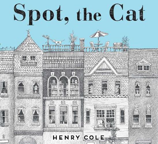 Cover image for Spot, the Cat