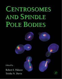 Cover image for Centrosomes and Spindle Pole Bodies