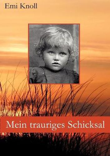 Cover image for Mein trauriges Schicksal