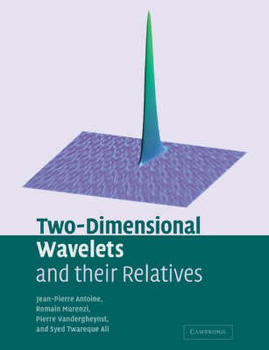 Cover image for Two-Dimensional Wavelets and their Relatives