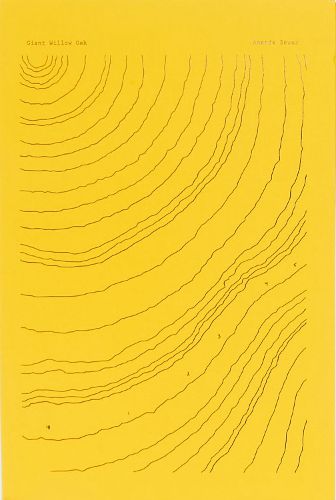 Cover image for Giant Willow Oak