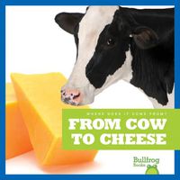 Cover image for From Cow to Cheese