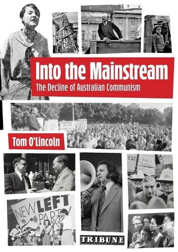 Cover image for Into the Mainstream
