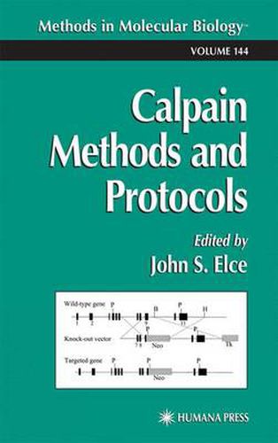 Cover image for Calpain Methods and Protocols