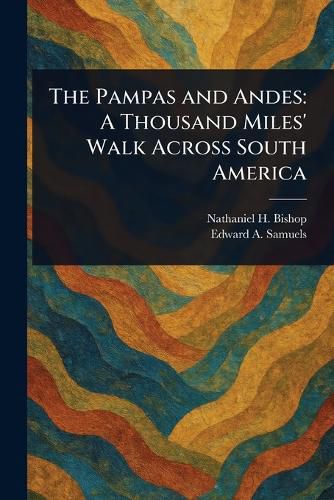 Cover image for The Pampas and Andes