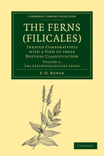 Cover image for The Ferns (Filicales): Volume 3, The Leptosporangiate Ferns: Treated Comparatively with a View to their Natural Classification