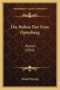 Cover image for Die Buben Der Frau Opterberg: Roman (1920)