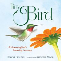 Cover image for Tiny Bird: A Hummingbird's Amazing Journey