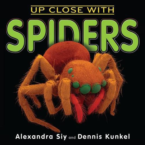 Cover image for Up Close With Spiders