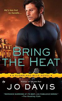 Cover image for Bring the Heat