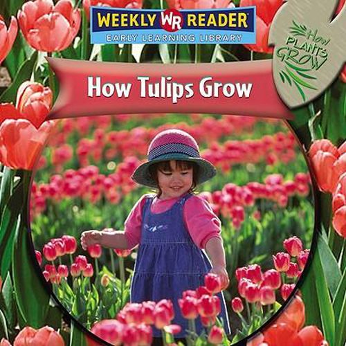 Cover image for How Tulips Grow