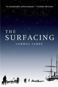 Cover image for The Surfacing