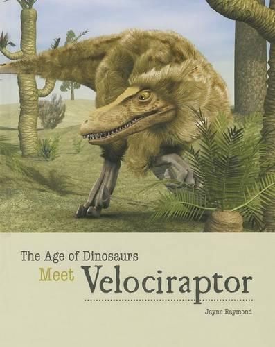 Cover image for Meet Velociraptor