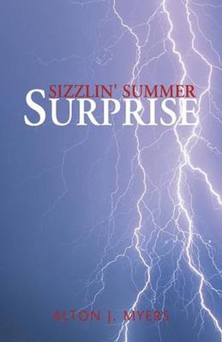 Cover image for Sizzlin' Summer Surprise