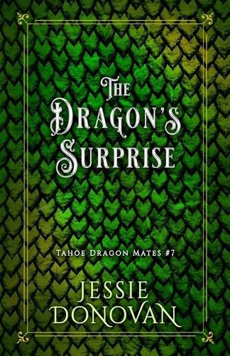 Cover image for The Dragon's Surprise