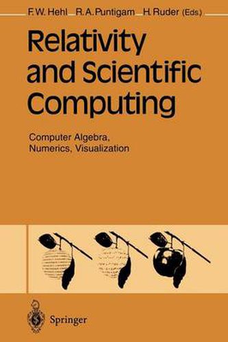 Cover image for Relativity and Scientific Computing: Computer Algebra, Numerics, Visualization