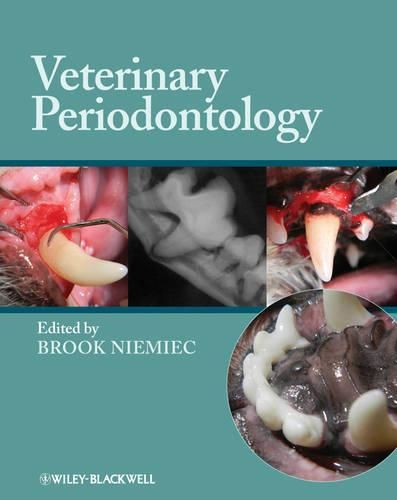 Cover image for Veterinary Periodontology