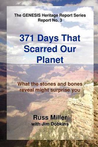 Cover image for 371 Days That Scarred Our Planet