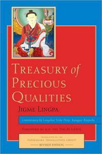 Cover image for Treasury of Precious Qualities