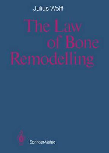 The Law of Bone Remodelling