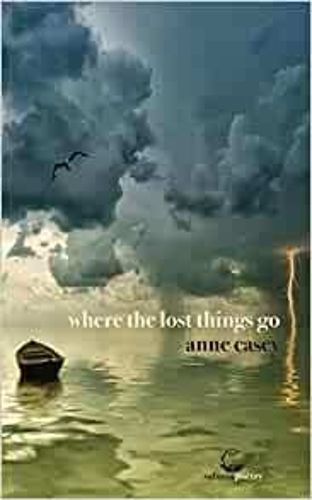 Cover image for where the lost things go