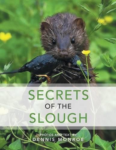 Cover image for Secrets of the Slough