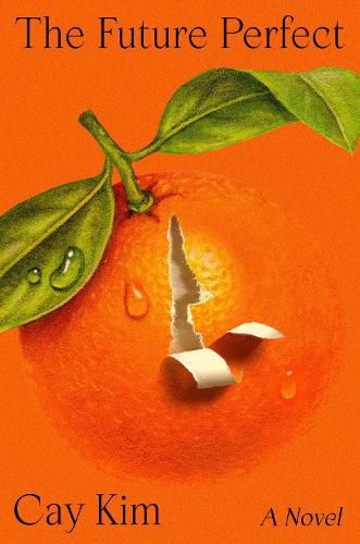 Cover image for The Future Perfect