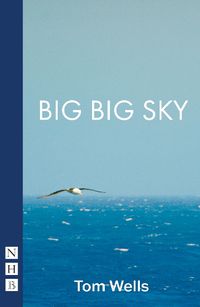 Cover image for Big Big Sky