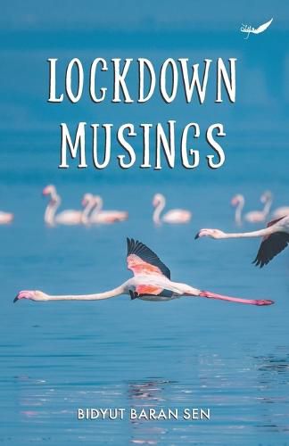 Cover image for Lockdown Musings