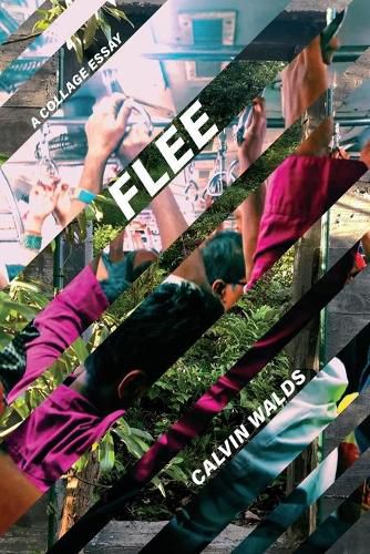 Cover image for Flee